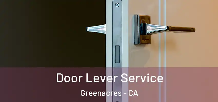  Door Lever Service Greenacres - CA