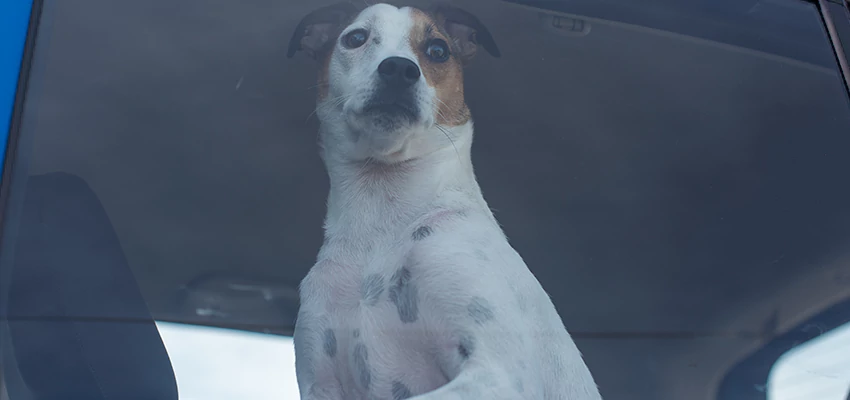 Car Lockout Solutions in Greenacres, California